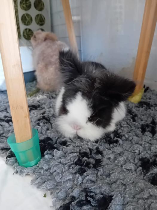 Klicke auf die Grafik f�r eine gr��ere Ansicht

Name:	IMG-20260315-WA0064.jpg
Hits:	0
Gr��e:	192,8 KB
ID:	216454