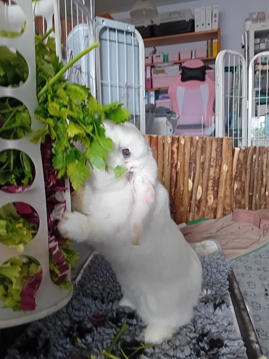 Klicke auf die Grafik f�r eine gr��ere Ansicht

Name:	IMG-20260315-WA0060.jpg
Hits:	0
Gr��e:	230,7 KB
ID:	216455