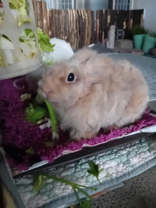 Klicke auf die Grafik f�r eine gr��ere Ansicht

Name:	IMG-20260315-WA0055.jpg
Hits:	0
Gr��e:	172,1 KB
ID:	216457