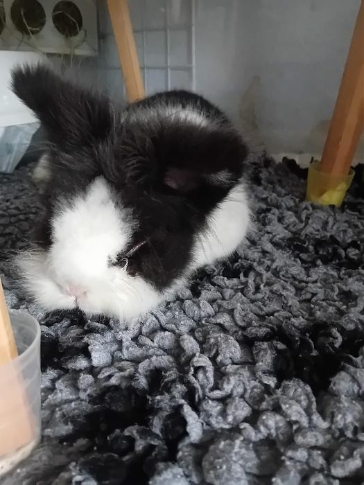 Klicke auf die Grafik f�r eine gr��ere Ansicht

Name:	IMG-20260315-WA0054.jpg
Hits:	0
Gr��e:	249,7 KB
ID:	216458