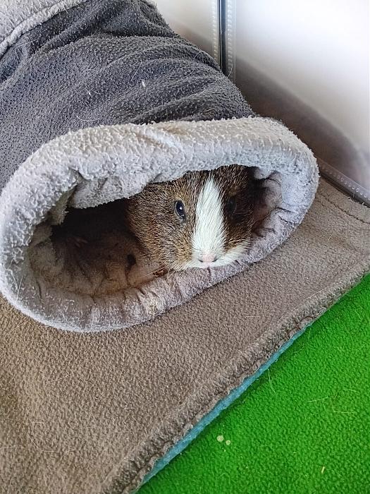 Klicke auf die Grafik f�r eine gr��ere Ansicht

Name:	IMG-20260315-WA0066.jpg
Hits:	0
Gr��e:	331,8 KB
ID:	216459