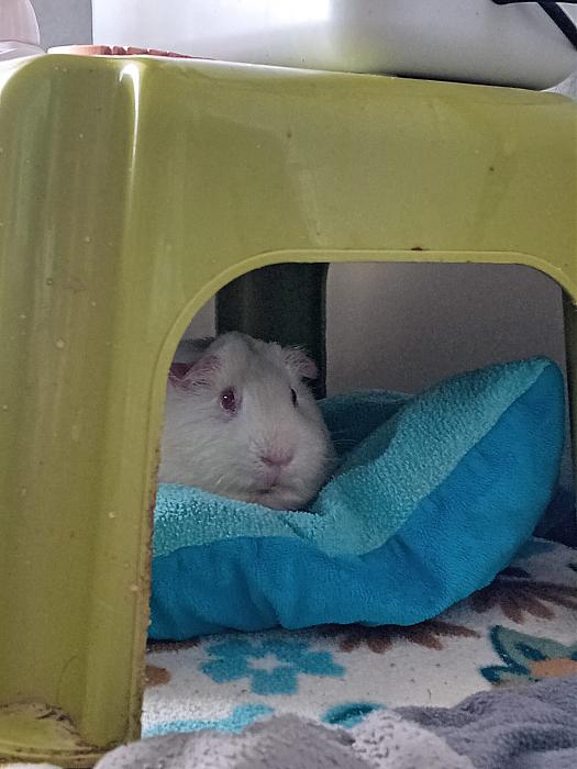 Klicke auf die Grafik f�r eine gr��ere Ansicht

Name:	IMG-20260315-WA0063.jpg
Hits:	0
Gr��e:	249,6 KB
ID:	216460