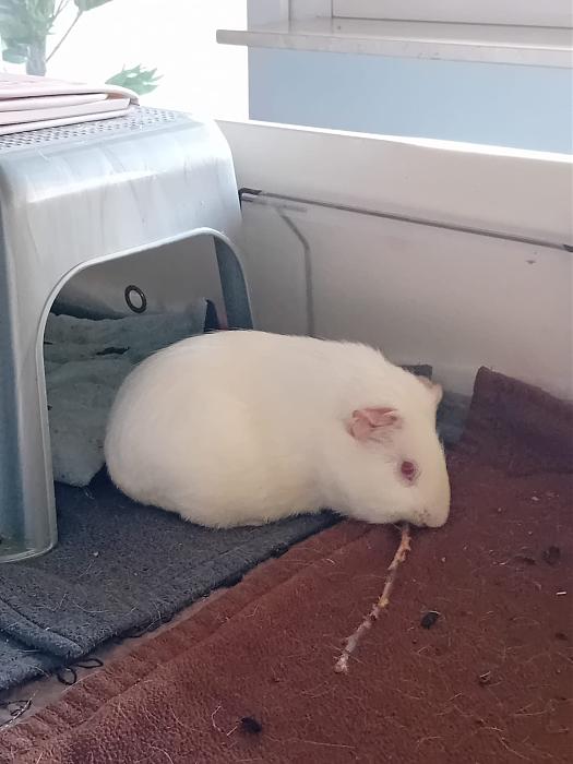 Klicke auf die Grafik f�r eine gr��ere Ansicht

Name:	IMG-20260315-WA0058.jpg
Hits:	0
Gr��e:	185,6 KB
ID:	216462