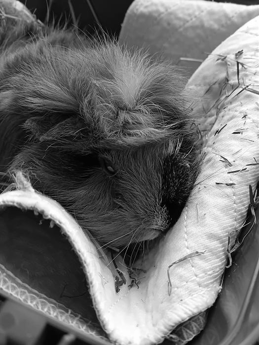 Klicke auf die Grafik f�r eine gr��ere Ansicht

Name:	IMG-20260317-WA0002.jpg
Hits:	0
Gr��e:	304,8 KB
ID:	216470