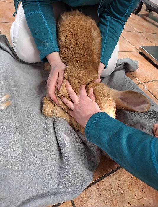 Klicke auf die Grafik f�r eine gr��ere Ansicht

Name:	Screenshot_20260319_224451_Gallery.jpg
Hits:	0
Gr��e:	216,6 KB
ID:	216473