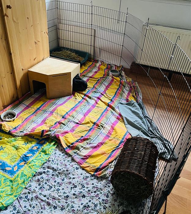 Klicke auf die Grafik f�r eine gr��ere Ansicht

Name:	8f46fab4-68cb-44c1-9feb-c2fd73cb9106.jpg
Hits:	1
Gr��e:	90,7 KB
ID:	216480