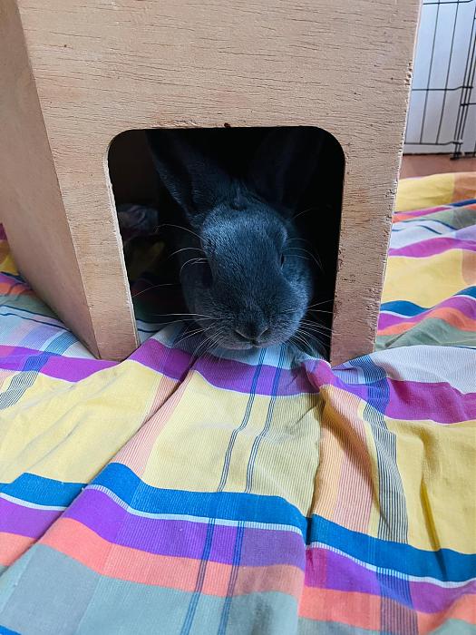 Klicke auf die Grafik f�r eine gr��ere Ansicht

Name:	6cf8dba7-f8ea-4592-a510-022251f4e648.jpg
Hits:	0
Gr��e:	44,7 KB
ID:	216481