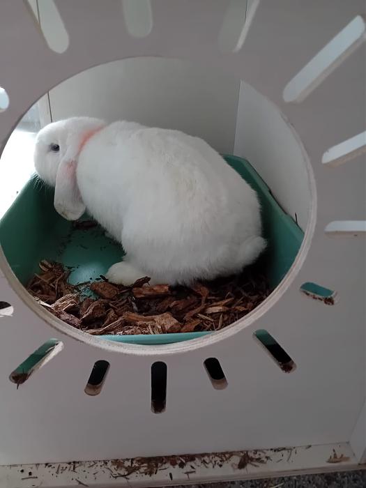 Klicke auf die Grafik f�r eine gr��ere Ansicht

Name:	IMG-20260322-WA0070.jpg
Hits:	0
Gr��e:	131,8 KB
ID:	216487