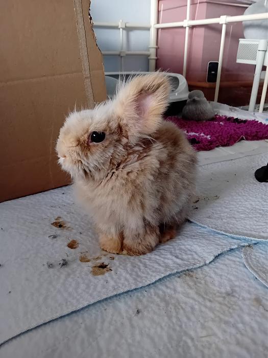 Klicke auf die Grafik f�r eine gr��ere Ansicht

Name:	IMG-20260322-WA0068.jpg
Hits:	1
Gr��e:	247,4 KB
ID:	216489