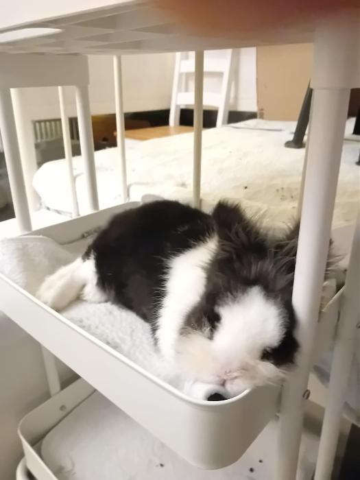 Klicke auf die Grafik f�r eine gr��ere Ansicht

Name:	IMG-20260322-WA0059.jpg
Hits:	0
Gr��e:	132,2 KB
ID:	216494