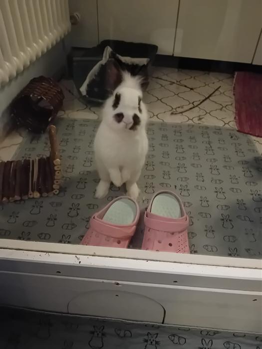 Klicke auf die Grafik f�r eine gr��ere Ansicht

Name:	IMG-20260322-WA0056.jpg
Hits:	0
Gr��e:	139,3 KB
ID:	216495