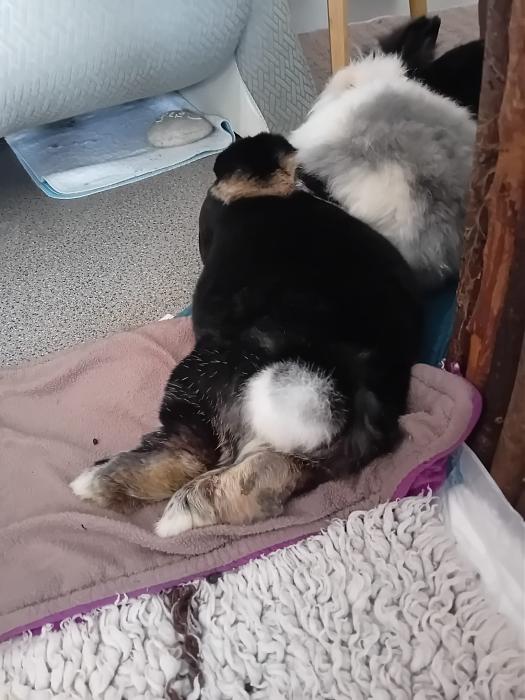 Klicke auf die Grafik f�r eine gr��ere Ansicht

Name:	IMG-20260322-WA0072.jpg
Hits:	0
Gr��e:	240,8 KB
ID:	216497