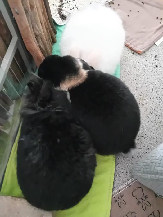 Klicke auf die Grafik f�r eine gr��ere Ansicht

Name:	IMG-20260322-WA0067.jpg
Hits:	0
Gr��e:	165,0 KB
ID:	216499