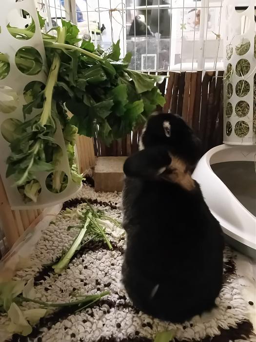 Klicke auf die Grafik f�r eine gr��ere Ansicht

Name:	IMG-20260322-WA0055.jpg
Hits:	0
Gr��e:	240,7 KB
ID:	216502