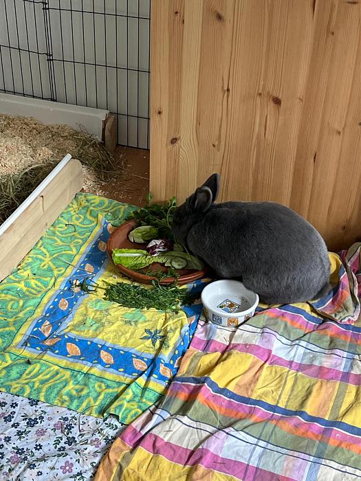 Klicke auf die Grafik f�r eine gr��ere Ansicht

Name:	IMG_7271.jpg
Hits:	0
Gr��e:	61,5 KB
ID:	216507