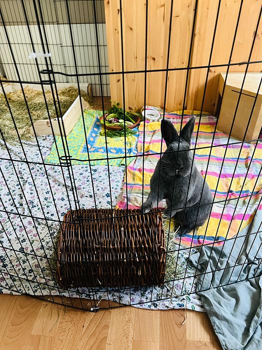 Klicke auf die Grafik f�r eine gr��ere Ansicht

Name:	IMG_7268.jpg
Hits:	0
Gr��e:	78,8 KB
ID:	216508