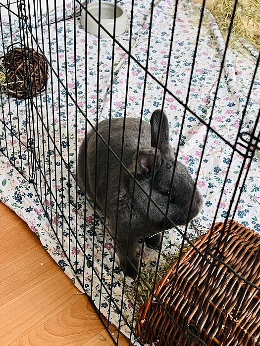 Klicke auf die Grafik f�r eine gr��ere Ansicht

Name:	IMG_7270.jpg
Hits:	0
Gr��e:	89,4 KB
ID:	216509