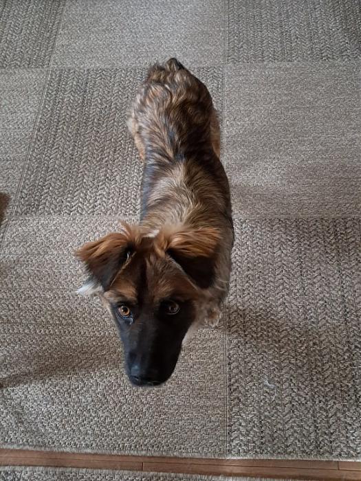 Klicke auf die Grafik f�r eine gr��ere Ansicht

Name:	Vroni.jpg
Hits:	0
Gr��e:	151,6 KB
ID:	216514