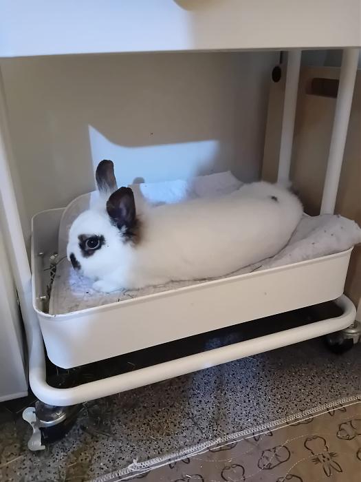 Klicke auf die Grafik f�r eine gr��ere Ansicht

Name:	IMG-20260329-WA0060.jpg
Hits:	0
Gr��e:	177,0 KB
ID:	216529