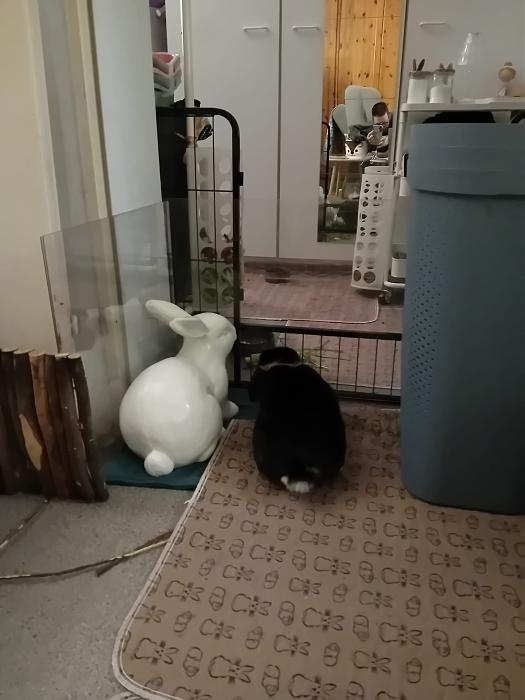 Klicke auf die Grafik f�r eine gr��ere Ansicht

Name:	IMG-20260329-WA0074.jpg
Hits:	0
Gr��e:	159,6 KB
ID:	216531