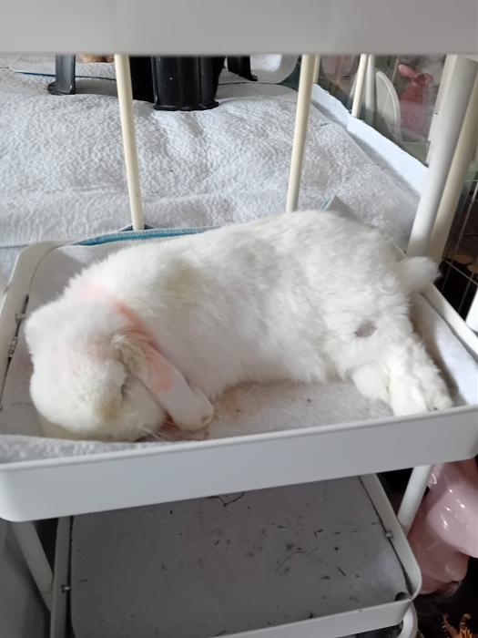 Klicke auf die Grafik f�r eine gr��ere Ansicht

Name:	IMG-20260329-WA0072.jpg
Hits:	0
Gr��e:	156,6 KB
ID:	216534