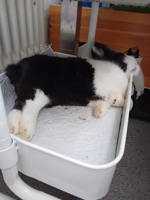 Klicke auf die Grafik f�r eine gr��ere Ansicht

Name:	IMG-20260329-WA0063.jpg
Hits:	0
Gr��e:	140,5 KB
ID:	216538