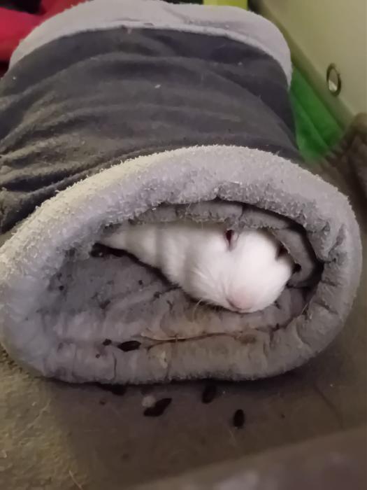 Klicke auf die Grafik f�r eine gr��ere Ansicht

Name:	IMG-20260329-WA0076.jpg
Hits:	0
Gr��e:	129,9 KB
ID:	216539