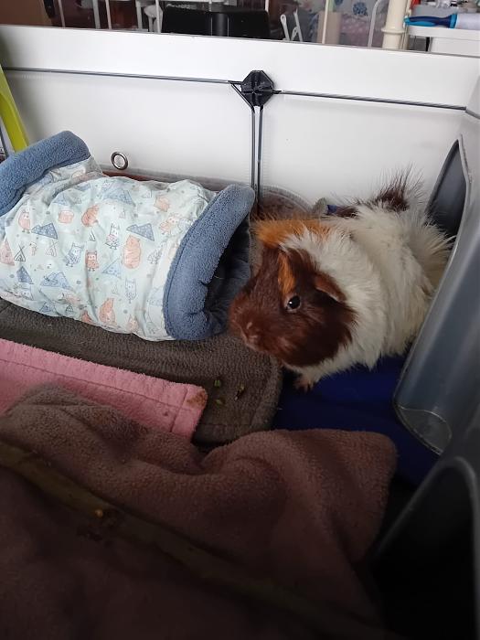 Klicke auf die Grafik f�r eine gr��ere Ansicht

Name:	IMG-20260329-WA0071.jpg
Hits:	0
Gr��e:	195,4 KB
ID:	216540