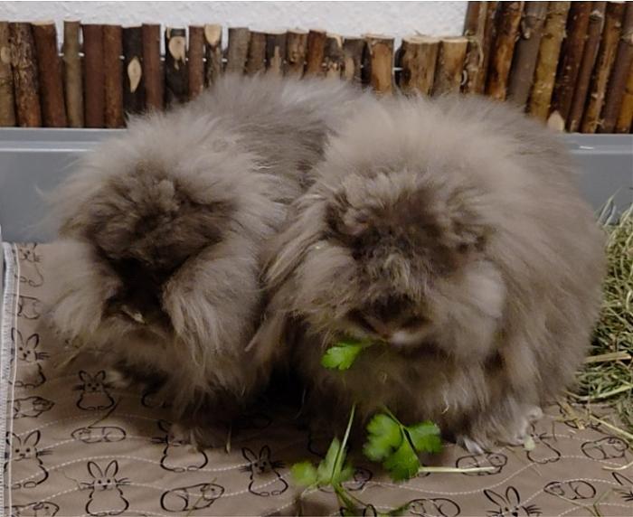 Klicke auf die Grafik f�r eine gr��ere Ansicht

Name:	Bild2.jpg
Hits:	0
Gr��e:	273,2 KB
ID:	216551