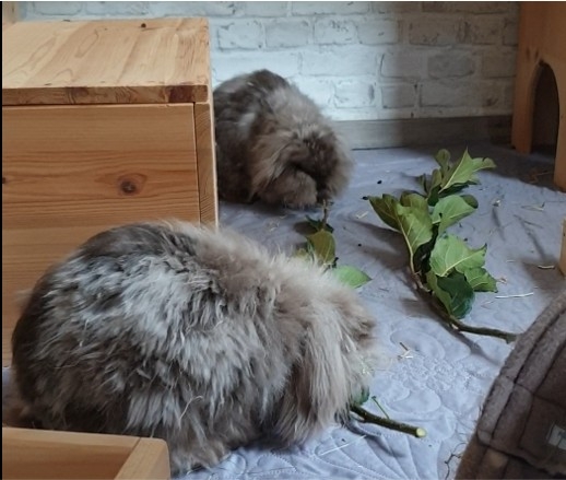 Klicke auf die Grafik f�r eine gr��ere Ansicht

Name:	Bild1.jpg
Hits:	29
Gr��e:	124,1 KB
ID:	216552