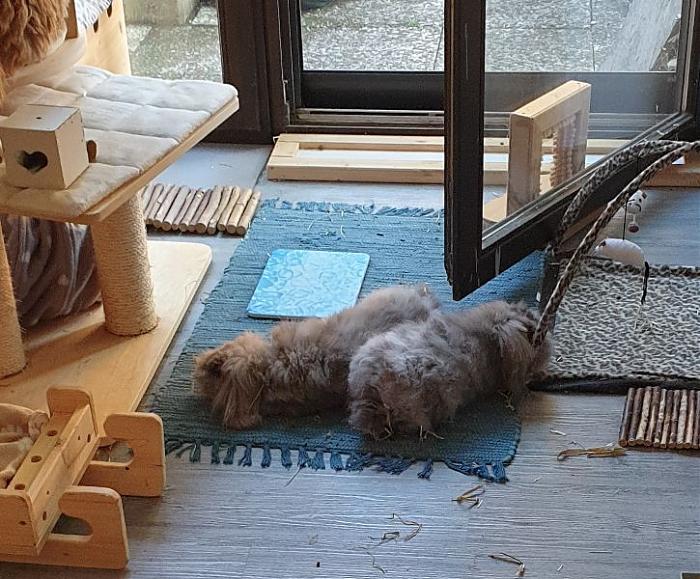 Klicke auf die Grafik f�r eine gr��ere Ansicht

Name:	20250718_184852.jpg
Hits:	0
Gr��e:	103,8 KB
ID:	216553