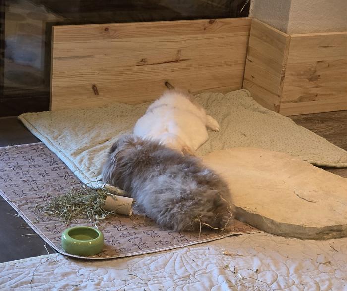 Klicke auf die Grafik f�r eine gr��ere Ansicht

Name:	20260225_165342.jpg
Hits:	1
Gr��e:	70,1 KB
ID:	216555