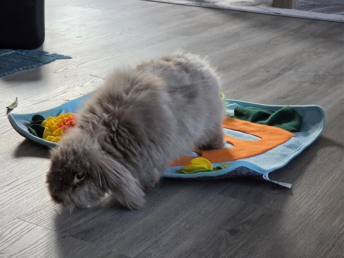 Klicke auf die Grafik f�r eine gr��ere Ansicht

Name:	20260319_073013.jpg
Hits:	1
Gr��e:	61,5 KB
ID:	216556