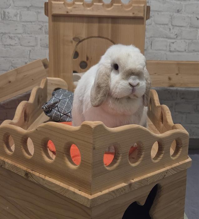 Klicke auf die Grafik f�r eine gr��ere Ansicht

Name:	20260330_223430.jpg
Hits:	0
Gr��e:	55,7 KB
ID:	216557