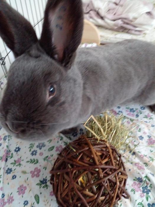 Klicke auf die Grafik f�r eine gr��ere Ansicht

Name:	422a89d6-34da-4432-a0d1-530b654fe1de.jpg
Hits:	0
Gr��e:	39,2 KB
ID:	216576