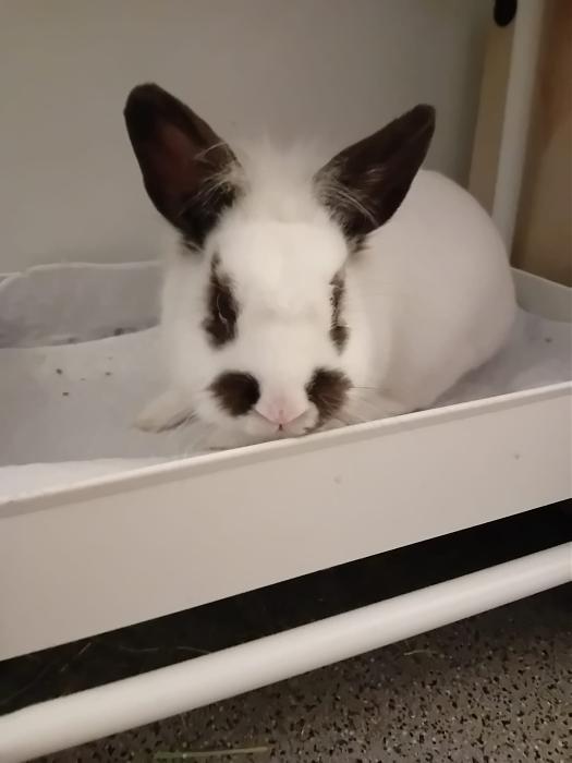 Klicke auf die Grafik f�r eine gr��ere Ansicht

Name:	IMG-20260405-WA0058.jpg
Hits:	1
Gr��e:	113,6 KB
ID:	216577