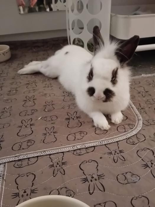 Klicke auf die Grafik f�r eine gr��ere Ansicht

Name:	IMG-20260405-WA0048.jpg
Hits:	0
Gr��e:	169,9 KB
ID:	216578