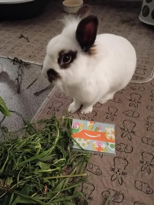 Klicke auf die Grafik f�r eine gr��ere Ansicht

Name:	IMG-20260405-WA0052.jpg
Hits:	1
Gr��e:	223,9 KB
ID:	216579