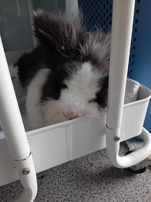 Klicke auf die Grafik f�r eine gr��ere Ansicht

Name:	IMG-20260405-WA0055.jpg
Hits:	0
Gr��e:	199,7 KB
ID:	216583