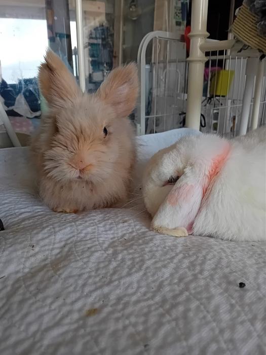 Klicke auf die Grafik f�r eine gr��ere Ansicht

Name:	IMG-20260405-WA0054.jpg
Hits:	0
Gr��e:	206,1 KB
ID:	216584