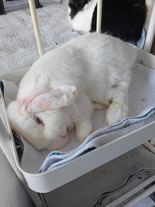 Klicke auf die Grafik f�r eine gr��ere Ansicht

Name:	IMG-20260405-WA0056.jpg
Hits:	0
Gr��e:	179,1 KB
ID:	216585