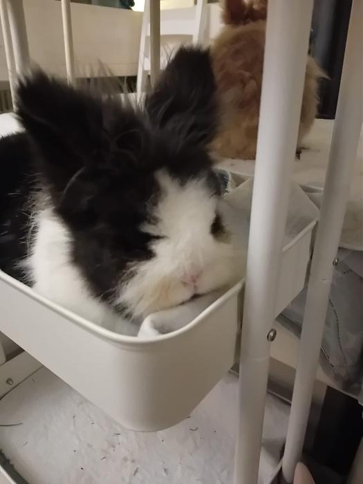 Klicke auf die Grafik f�r eine gr��ere Ansicht

Name:	IMG-20260405-WA0051.jpg
Hits:	0
Gr��e:	147,6 KB
ID:	216587