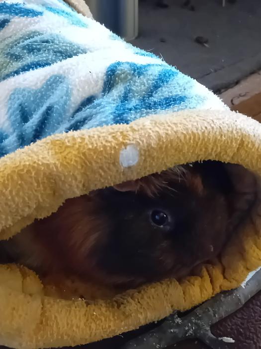 Klicke auf die Grafik f�r eine gr��ere Ansicht

Name:	IMG-20260405-WA0057.jpg
Hits:	0
Gr��e:	179,3 KB
ID:	216591