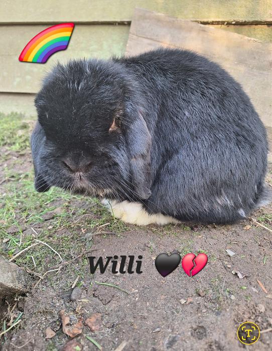 Klicke auf die Grafik f�r eine gr��ere Ansicht

Name:	Screenshot_20260408_225212_Gallery.jpg
Hits:	0
Gr��e:	267,8 KB
ID:	216593