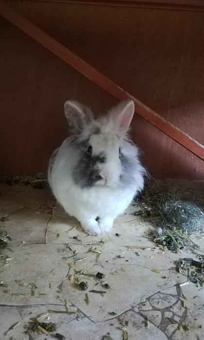 Klicke auf die Grafik f�r eine gr��ere Ansicht

Name:	IMG_20200530_173635.jpg
Hits:	0
Gr��e:	181,6 KB
ID:	216594