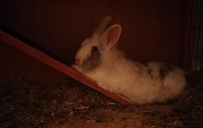 Klicke auf die Grafik f�r eine gr��ere Ansicht

Name:	IMG_20200222_013537.jpg
Hits:	1
Gr��e:	237,1 KB
ID:	216595