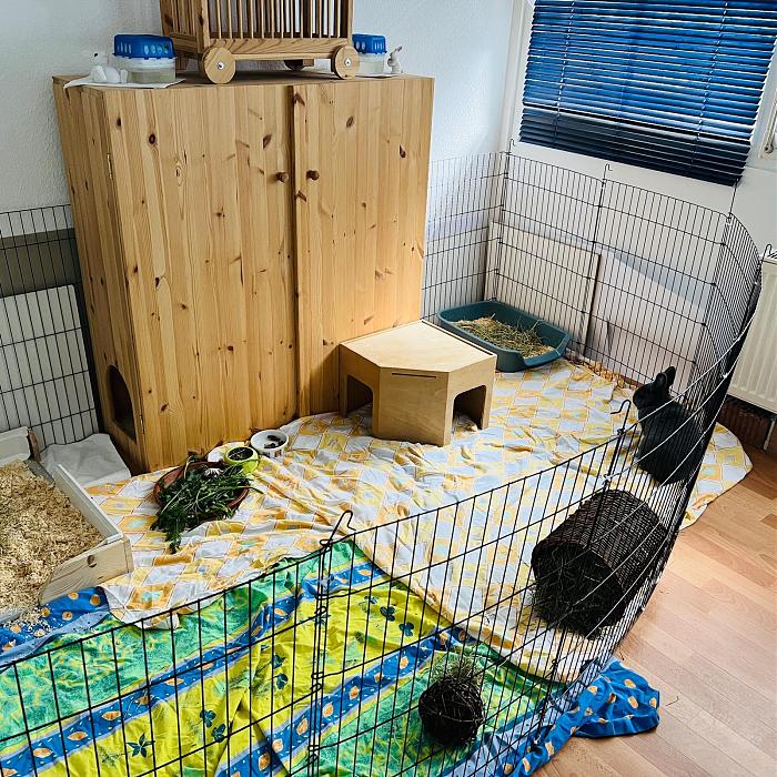 Klicke auf die Grafik f�r eine gr��ere Ansicht

Name:	914b38ac-2886-4e64-b8bb-92a961a54e71.jpg
Hits:	0
Gr��e:	96,7 KB
ID:	216605