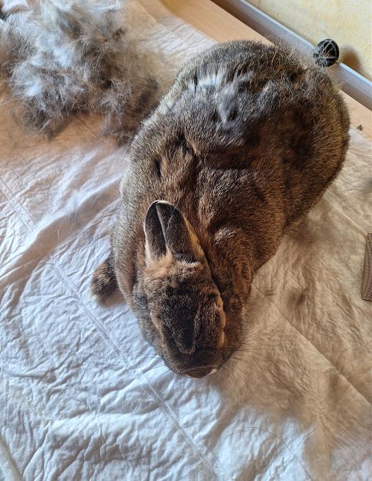 Klicke auf die Grafik f�r eine gr��ere Ansicht

Name:	Screenshot_20260411_221854_Gallery.jpg
Hits:	0
Gr��e:	227,6 KB
ID:	216608