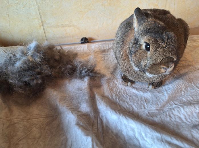 Klicke auf die Grafik f�r eine gr��ere Ansicht

Name:	Screenshot_20260411_221824_Gallery.jpg
Hits:	0
Gr��e:	113,0 KB
ID:	216609