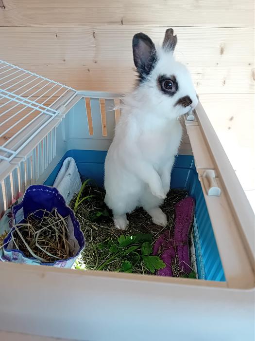 Klicke auf die Grafik f�r eine gr��ere Ansicht

Name:	IMG-20260412-WA0052.jpg
Hits:	0
Gr��e:	239,8 KB
ID:	216612